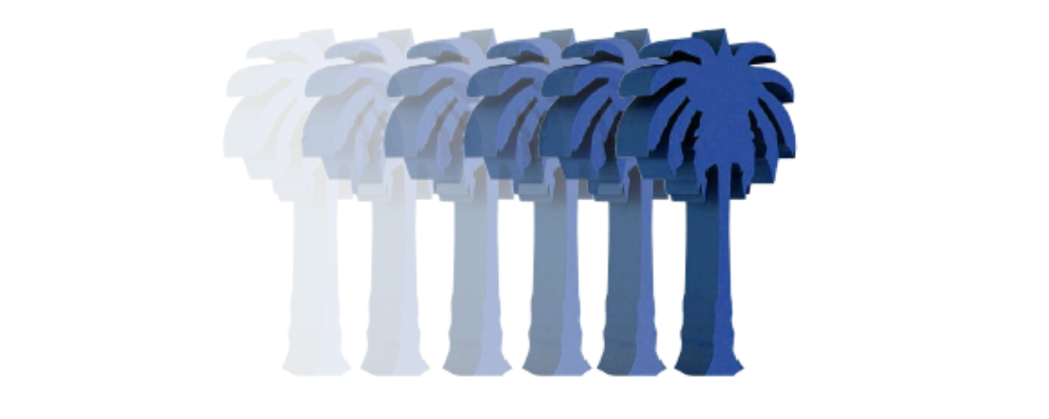 Organization 16